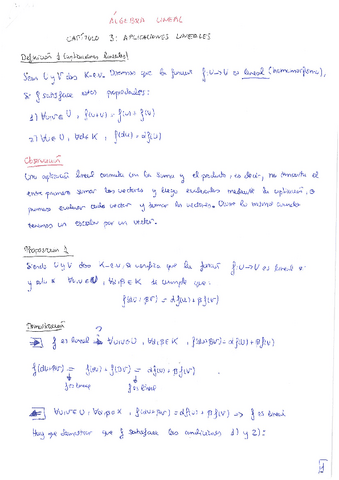 Algebra-Lineal-tema-3-teoria.pdf