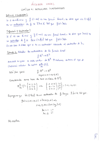 Algebra-Lineal-tema-4-teoria.pdf