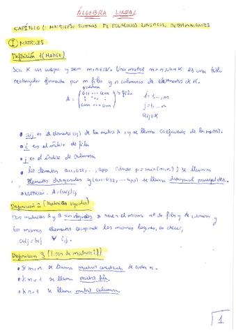 Algebra-Lineal-tema-1-teoria.pdf