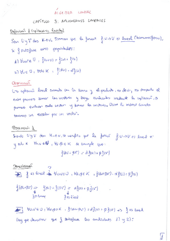Algebra-Lineal-tema-3-teoria.pdf