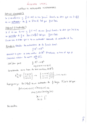 Algebra-Lineal-tema-4-teoria.pdf