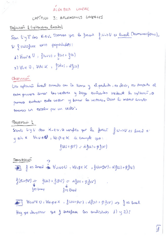 Algebra-Lineal-tema-3-teoria.pdf