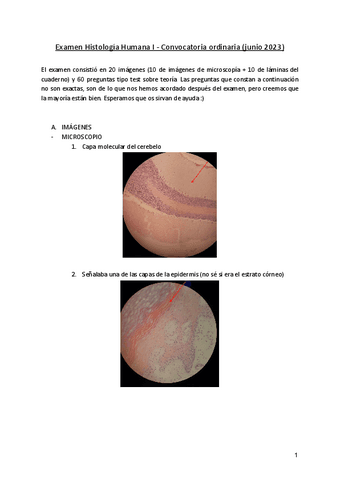 Examen-Histologia-Humana-I-2023.pdf