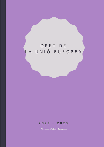 dret-de-la-unio-europea.pdf