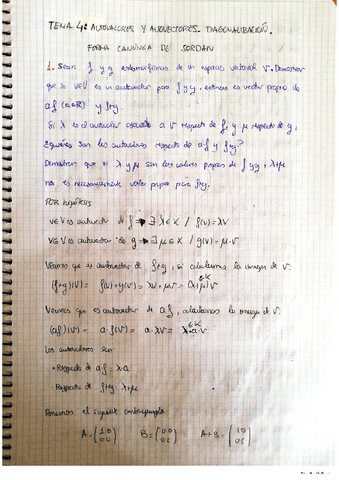 Algebra-Lineal-tema-4-ejercicios.pdf