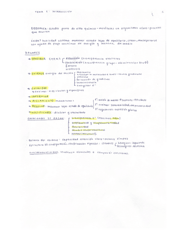 Bioquimica-Esquemas.pdf