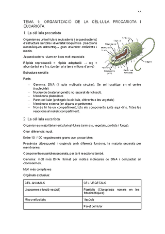 TEMA-1-Cellula-procariota-i-eucariota.docx.pdf