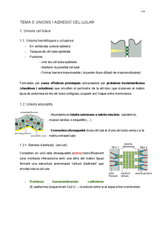 TEMA-5-Unions-i-Adhesio-Cellular.pdf
