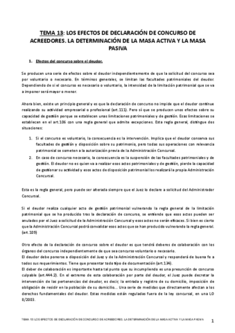 TEMA-13-MERCANTIL-II.pdf