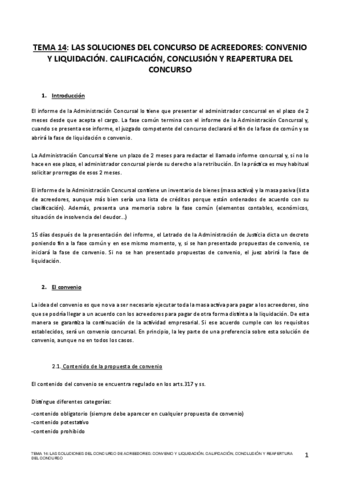 TEMA-14-MERCANTIL-II.pdf