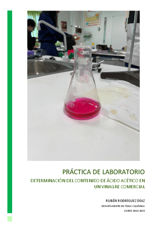 INFORME-LABORATORIO-ACIDOS-Y-BASES.pdf