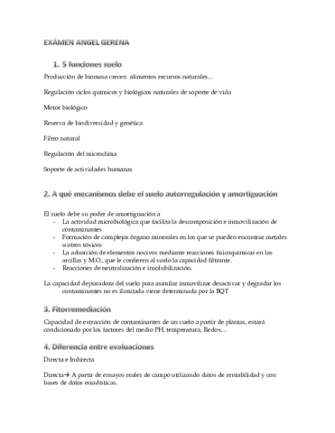 Examen GERENA ANGEL.pdf