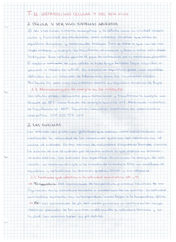Metabolismo.pdf