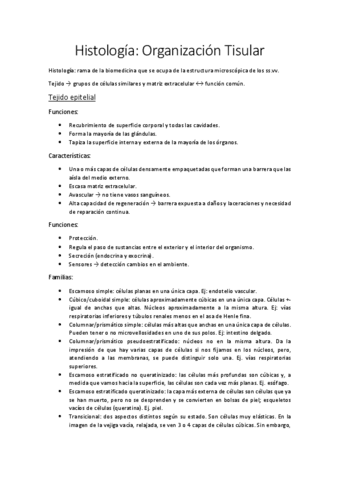 1o-Parcial-Antomia-1oNHD.pdf