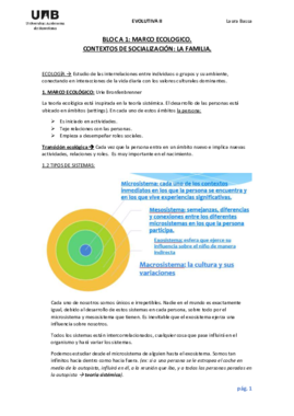 BLOC A1 - MARCO ECOLÓGICO CONTEXTOS DE SOCIALIZACIÓN (LA FAMILIA).pdf