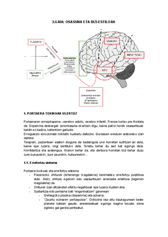 3.GAIA.pdf