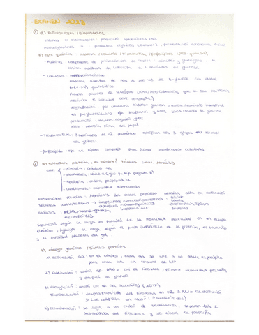 examen-bioquimica-primer-parcial-2023.pdf