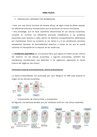 apuntes-biocel-t121314.pdf