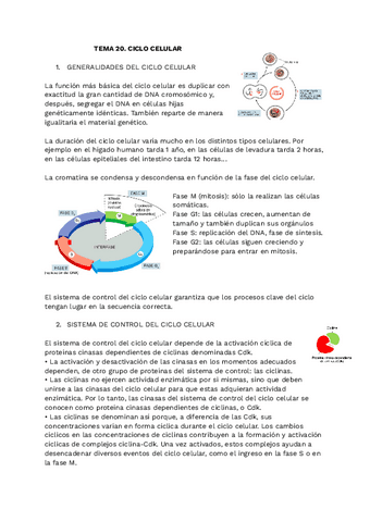 apuntes-biocel-t20.pdf