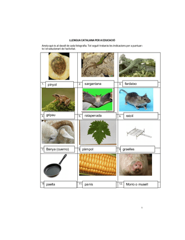 Vocabulario-Examen-Enero.pdf