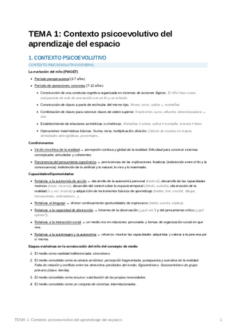 Didactica-de-las-Ciencias-Sociales-ITema-1.pdf