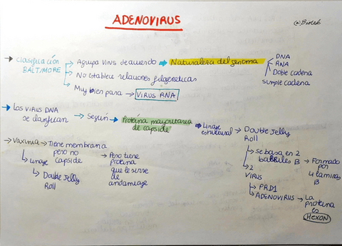 Adenovirus.pdf