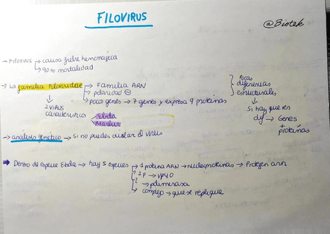 Filovirus.pdf