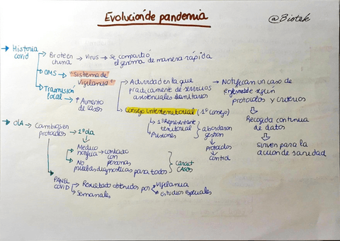 Evolucion-de-la-pandemia.pdf