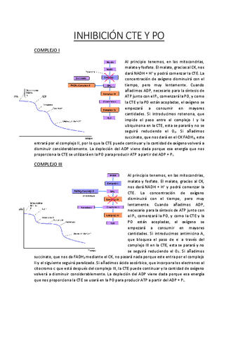 Inhibicion-CTE-y-PO-Bioquimica-1oNHD.pdf