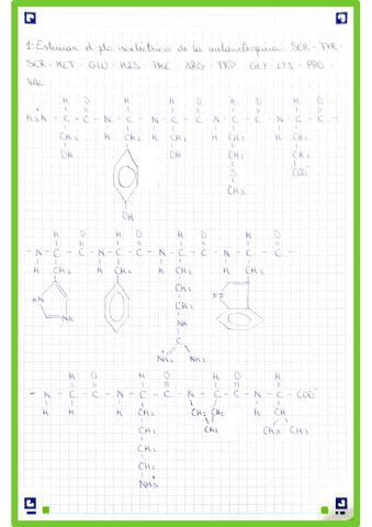 Ejercicio-Punto-Isoelectrico-Melanotropina-Bioquimica-1oNHD.pdf