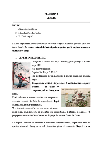 PLENARIA-6.pdf