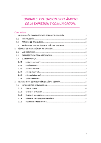 TEMA-6-EVALUACION-EN-EL-AMBITO-DE-LA-EXPRESION-Y-COMUNICACION..pdf