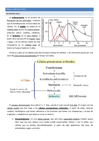 Tema-2-Eritrocitos.pdf