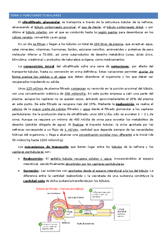 Tema-3-Funciones-tubulares.pdf