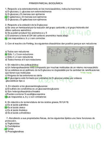 Examen-1.-1-Parcial.pdf