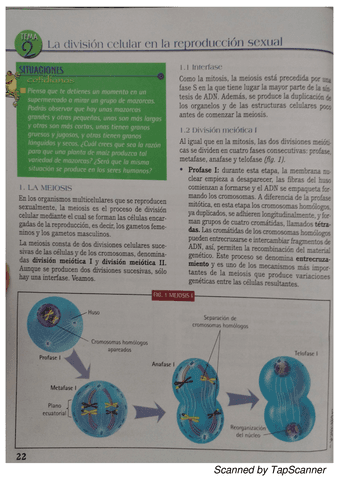 division-celular-en-reproduccion-sexual.pdf