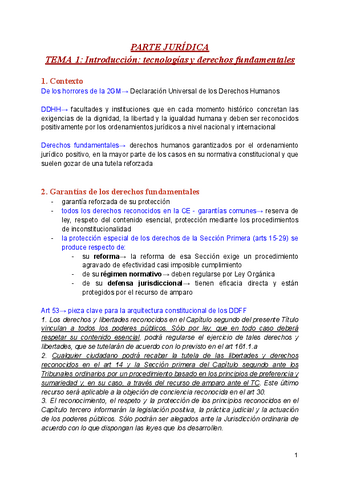 TIS-parte-juridica.pdf