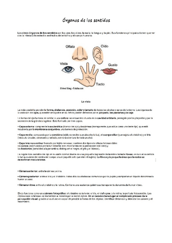 cuidados-b-resu-4.pdf
