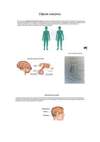 cuidados-b-resu-3.pdf