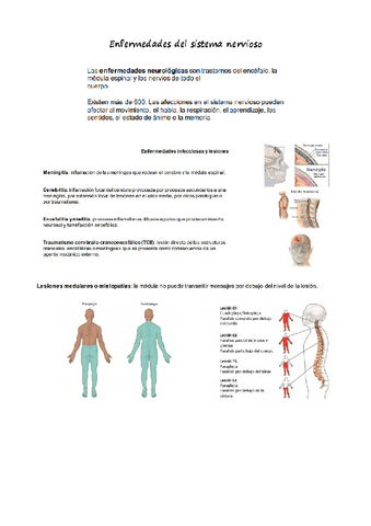 cuidados-b-resu-2.pdf