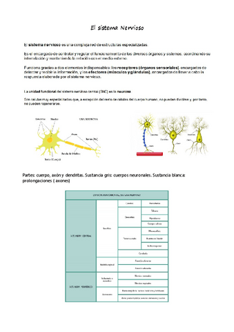 cuidados-b-resu-1.pdf