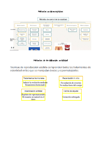 cuidados-resu-10.pdf