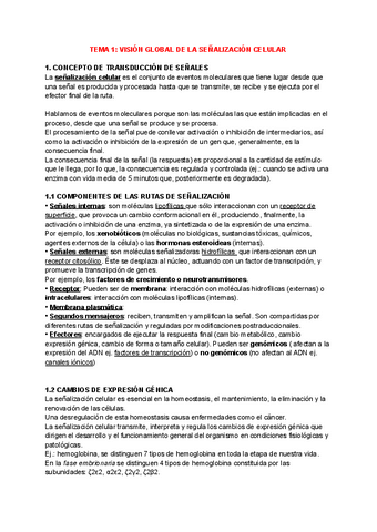 APUNTES-COMPLETOS-SENALIZACION.pdf