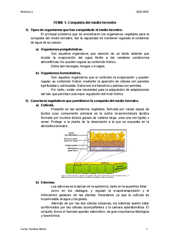 BOT2-TEORIA-2223.pdf