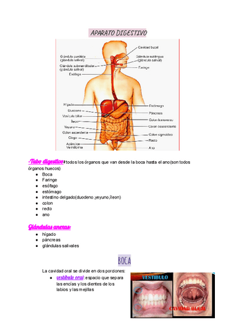 1-Boca.pdf