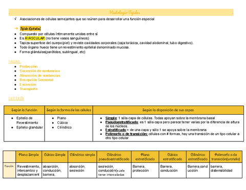 Tejido-epitelial.pdf