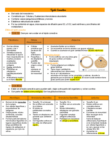 16-tejido-conectivo.pdf