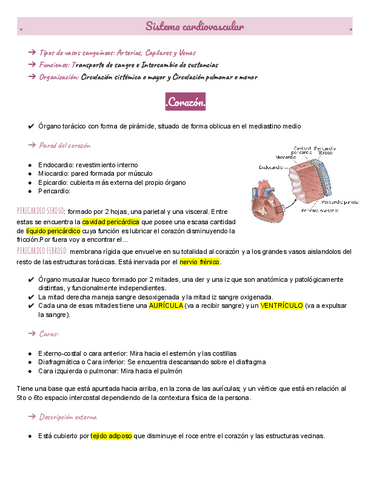 corazon.pdf