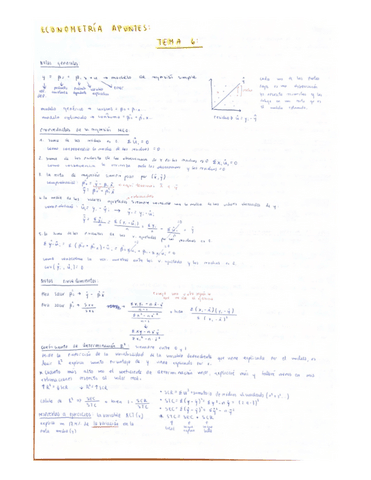 Parcial-Econometria-temas-6-9.pdf