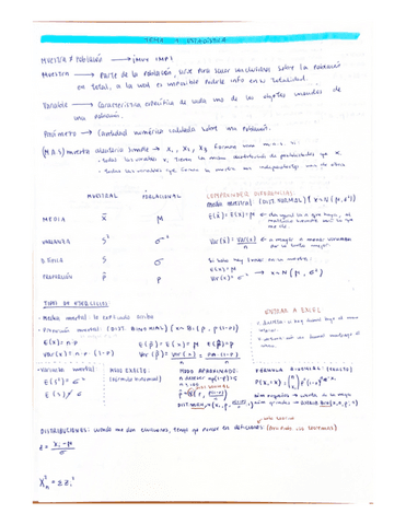 Parcial-Estadistica-temas-1-3.pdf